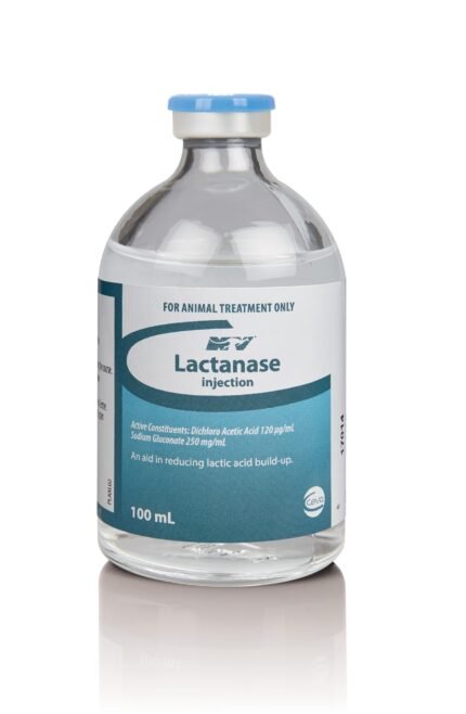 Buy Lactanase Injection 100ml - Order Lactanase Injection 100ml