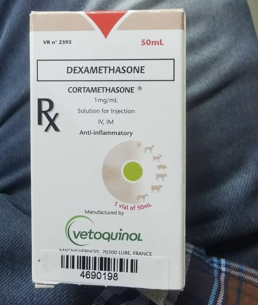 Dexamethasone-1-e1628456008503.jpg
