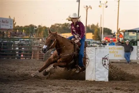 Best natural breathing support for horses with seasonal allergies