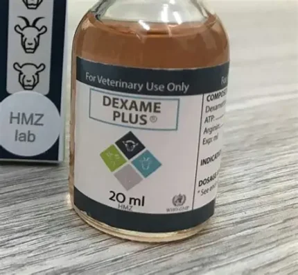 Buy Dexame Plus Online