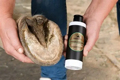 Natural hoof‑repair supplements for cracked or brittle hooves