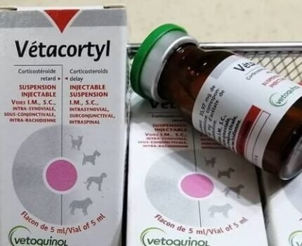 vitamin b12 injection how long to work Super Vitamin B12 for Gamefowl Maintenance main image 0