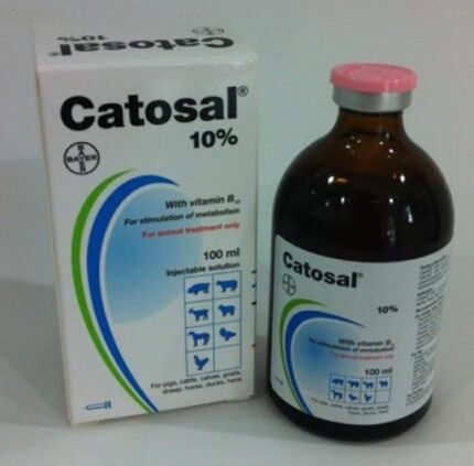 Catosal