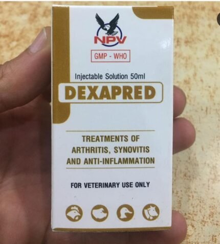Buy Dexapred Online